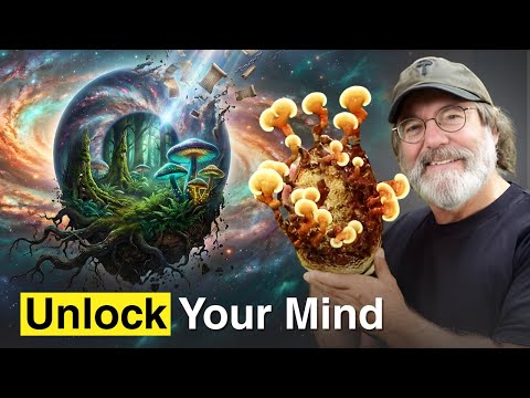 The Science of Neurogenesis, Psilocybin & The Stamets Stack | Paul Stamets