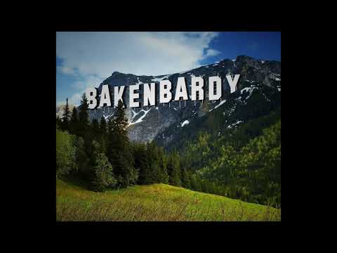 BAKENBARDY - Bakenbardy