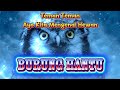 Burung Hantu Ayokumpul