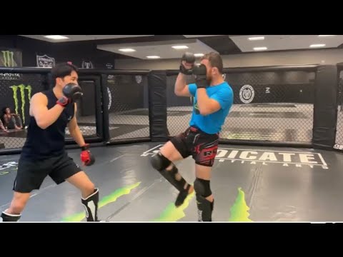 UFC Bantamweight Champ Merab Dvalishvili Spars New UFC Flyweight Kai Asakura!