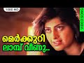 മെർക്കുറി ലാമ്പ് വീണു HD Malayalam Evergreen Song MERCURI LAMP