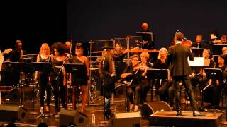Erykah Badu and The Brooklyn Philharmonic @ BAM 06/08/13 - Twinkle