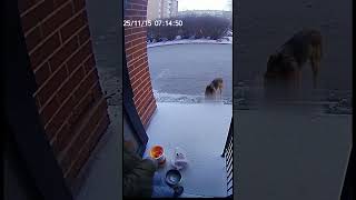 Он единственный, кто приходит к ней каждый день…