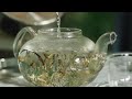 How To Brew White Tea Newby Silver Needle