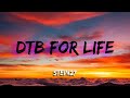 STEIN27 DTB For Life Lyrics Bass Boosted