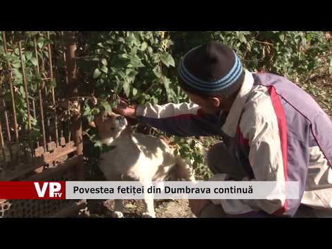 Povestea fetiței din Dumbrava continuă