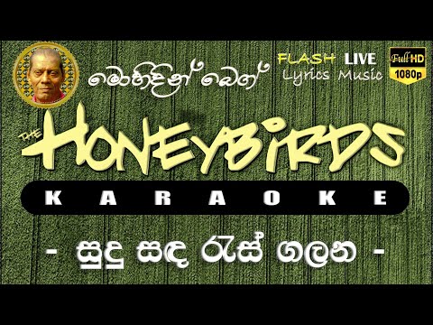 Sudu Sada Ras Galana Karaoke (Without Voice) සුදු සඳ රැස් ගලන කැරෝකේ