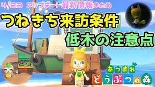 4/23.つねきち出現条件などアプデ情報まとめ！【あつまれどうぶつの森 女性実況】