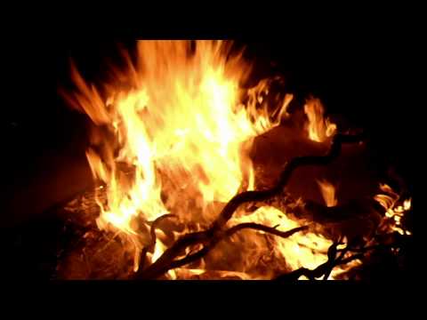 Roger Dat - 6Foot 7Foot Freestyle [Music Video]