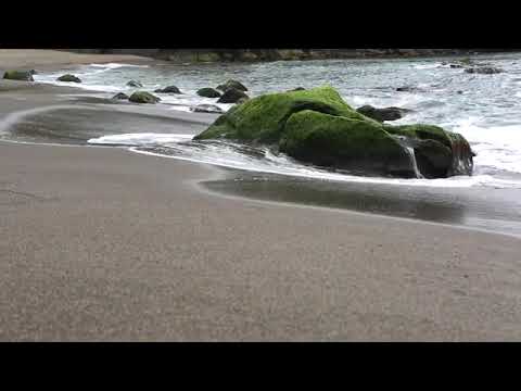 Sea waves & beach drone video  Free HD Video