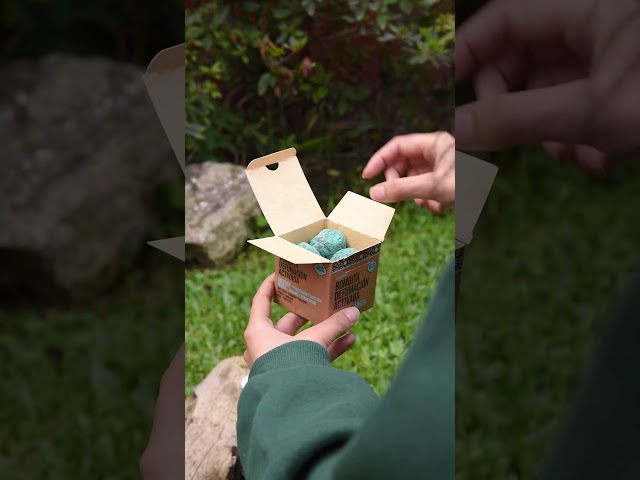 Vídeo relacionado con Farbenwald Resina de Copal Negro para sahumar, 50 g, de Perú, sahumerio