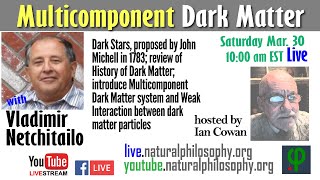 Hypersphere World-Universe Model, Part 2: Multicomponent Dark Matter with Vladimir Netchitailo