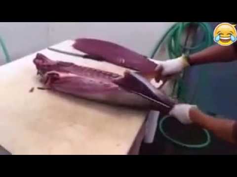 Fast workers-God level. Compilation including the fastest workers in the world.