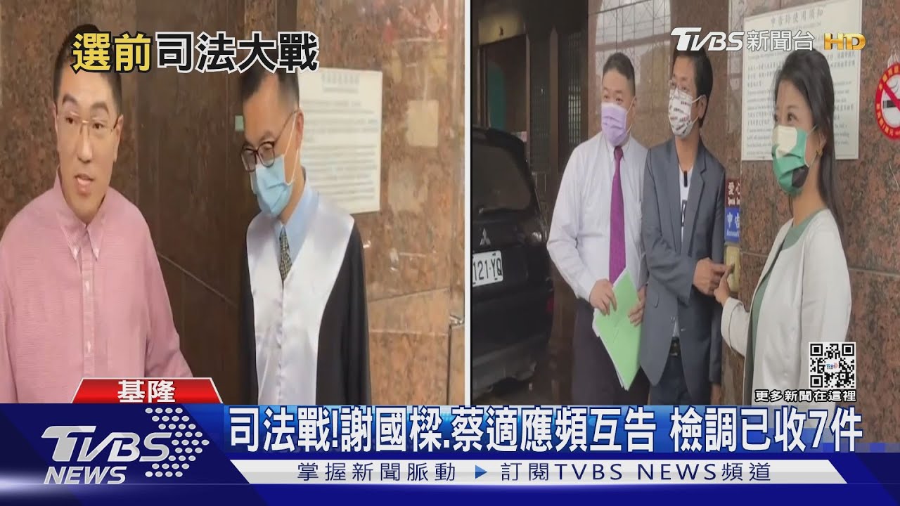 司法戰!謝國樑、蔡適應頻互告 檢調已收7件
