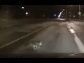 Cat Gets Hit By Car
