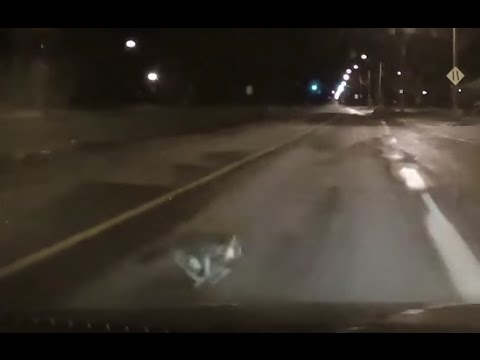 Cat gets hit by car