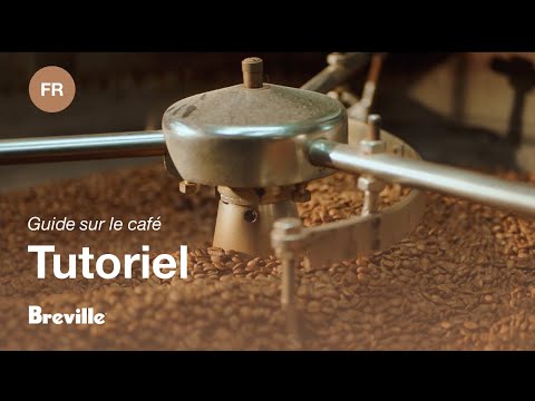miniature vidéo