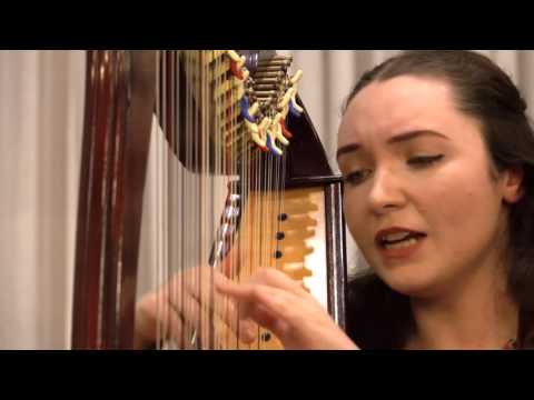 Thumbnail for Siobhan Owen  The snow goose Song by Siobhan Owen