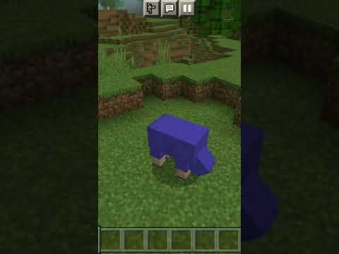 Crazy Minecraft Update! Insane New Color for Sheep!