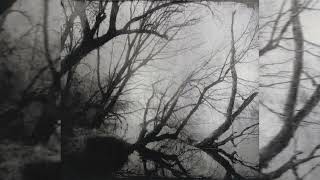 Astrofaes - Ad Infinitum (Dark I: The Expectation)