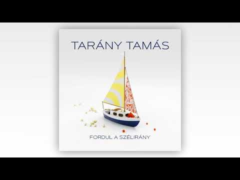 Tarány Tamás - Fordul a szélirány (Official Audio)