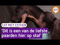 Dit doet de groome bij Outdoor Gelderland - UIT met Esther