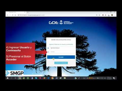 EE  Visualizar Historial de Pases de un Expediente - GDE
