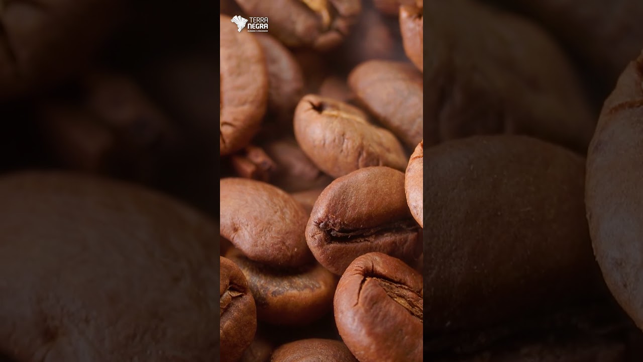 CAFÉ SUIÇO! ENTENDA!! #TerraNegra #Café #Suiça #Exportação #Curiosidades #EducaçãoOnline