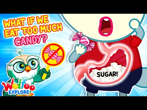 What If You Eat Candy Every Day? 🍬😋 No Sweets Allowed 🔍 Wolfoo Explore l Educational Videos For Kids