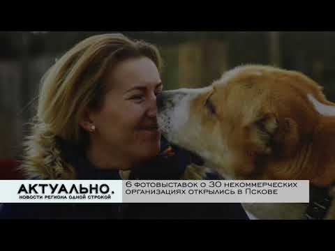 Актуально Псков / 04.12.2020