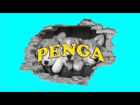 PNG BOYS and PŁATEK TO SZELMA