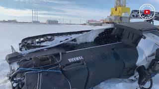 Клев рыбы сургут на 5 дней