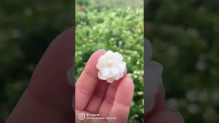 MUST to do in Hoi An, Cooking class!!