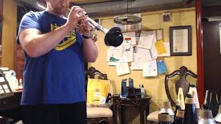 Video thumbnail for Denis Wick Trumpet Practice Mute by Joshua L. Wagner