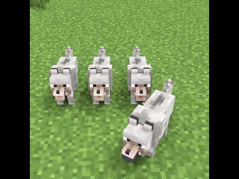 Class Monster School - Herobrine saves the wolf - Minecraft Animation