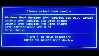Remove old EFI entries from Boot Menu
