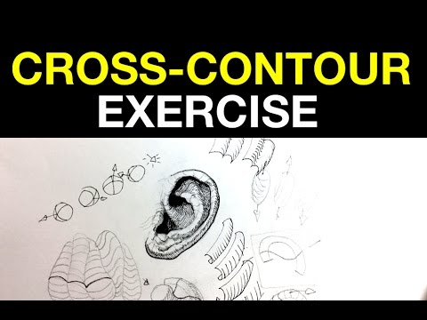 Cross Contour Lines Exercise | Improve your cross hatching Ink drawing