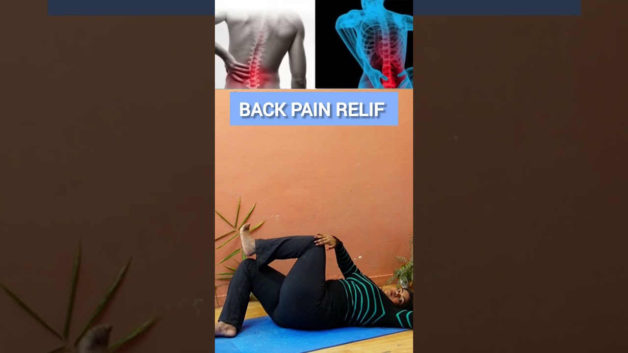 BACKPAIN  RELIEF EXERCISE #exercise #yoga #backpain #backpainrelief #homeworkout