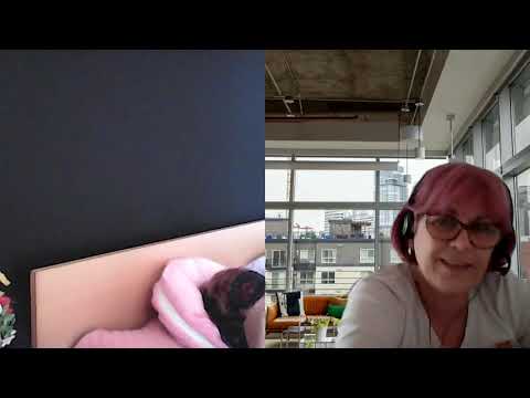 HIPNOZA REGRESIVA.RO-932.Matei,Sacul cu Suflete si Poseidon. E. LASCU coord. si C.MORARU telepat