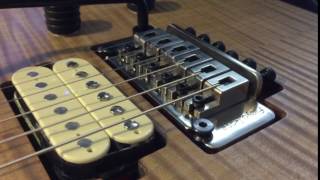 Video thumbnail for Floyd Rose NFT flutter real time by RS5 Fanatic