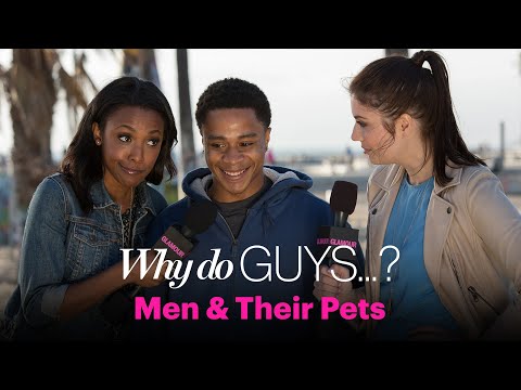 Why Do Guys Dislike Our Small Dogs (and Cats)? – Sex, Love & Dating – Glamour