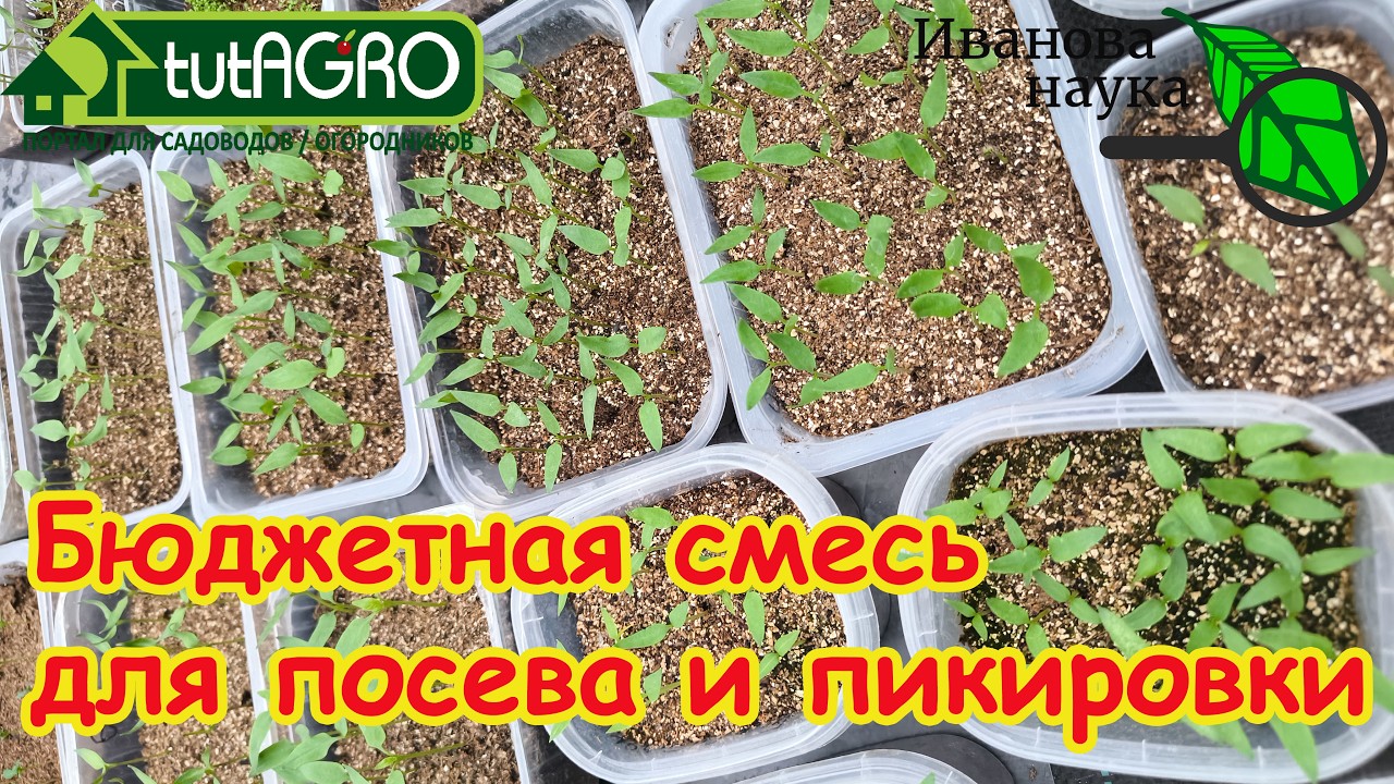 Секретный БЮДЖЕТНЫЙ состав: идеальный грунт для рассады за копейки. Для посе