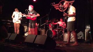 It Looks Sad. - "Raccoon"