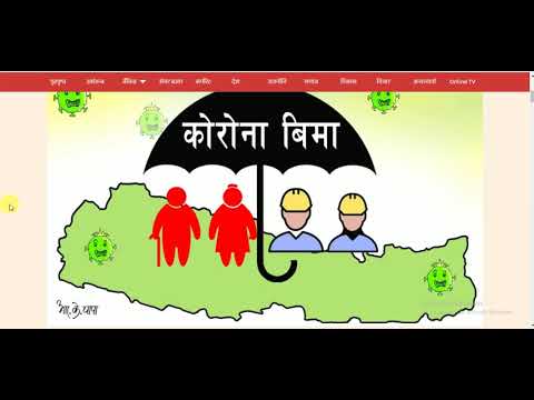 All over nepali news live ||  latest nepali news 21st of bhadra 2077 all newspaper @barchulimedia
