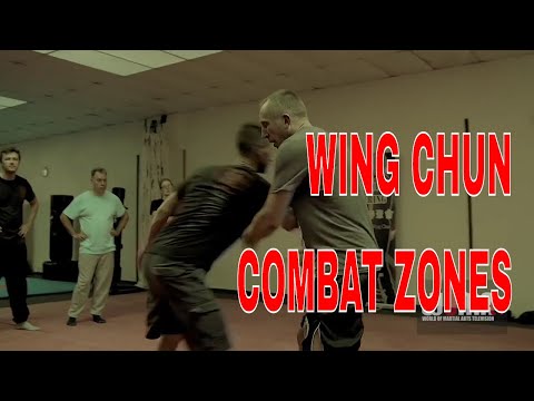COMBAT ZONES Wing Chun