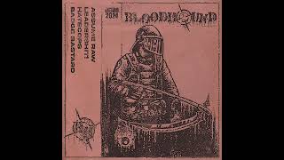 Bloodhound - Demo 2024