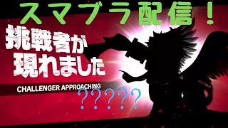 スマブラSP 配信 ※初心者