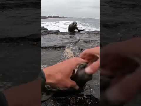 Plastic Loop Sliding Free on Slick Rock Ledge