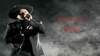 Download lagu Soprano - Ninja mp3 Download lagu Soprano - Ninja mp3