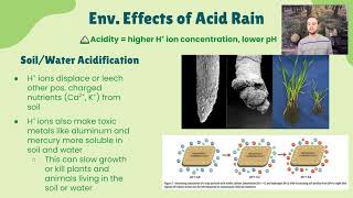 AP Environmental Science 7.7 - Acid Deposition